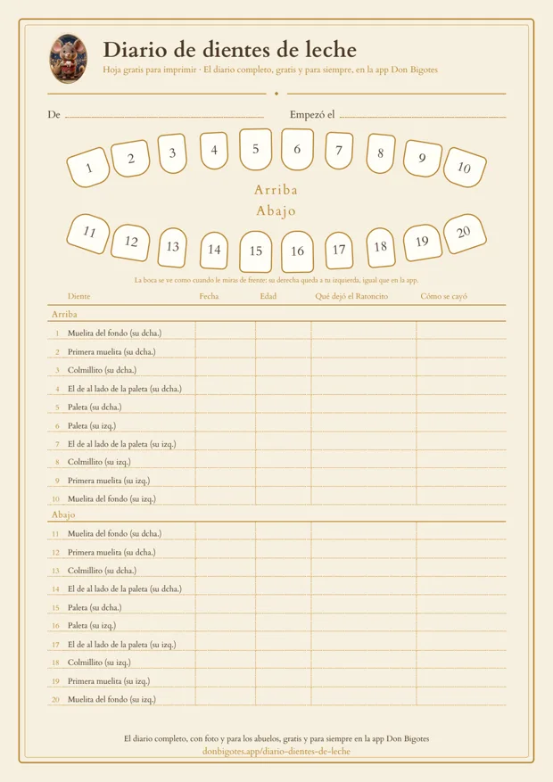 Hoja del diario de dientes de leche para imprimir, con los 20 dientes y casillas para la fecha, la edad y qué dejó el Ratoncito Pérez